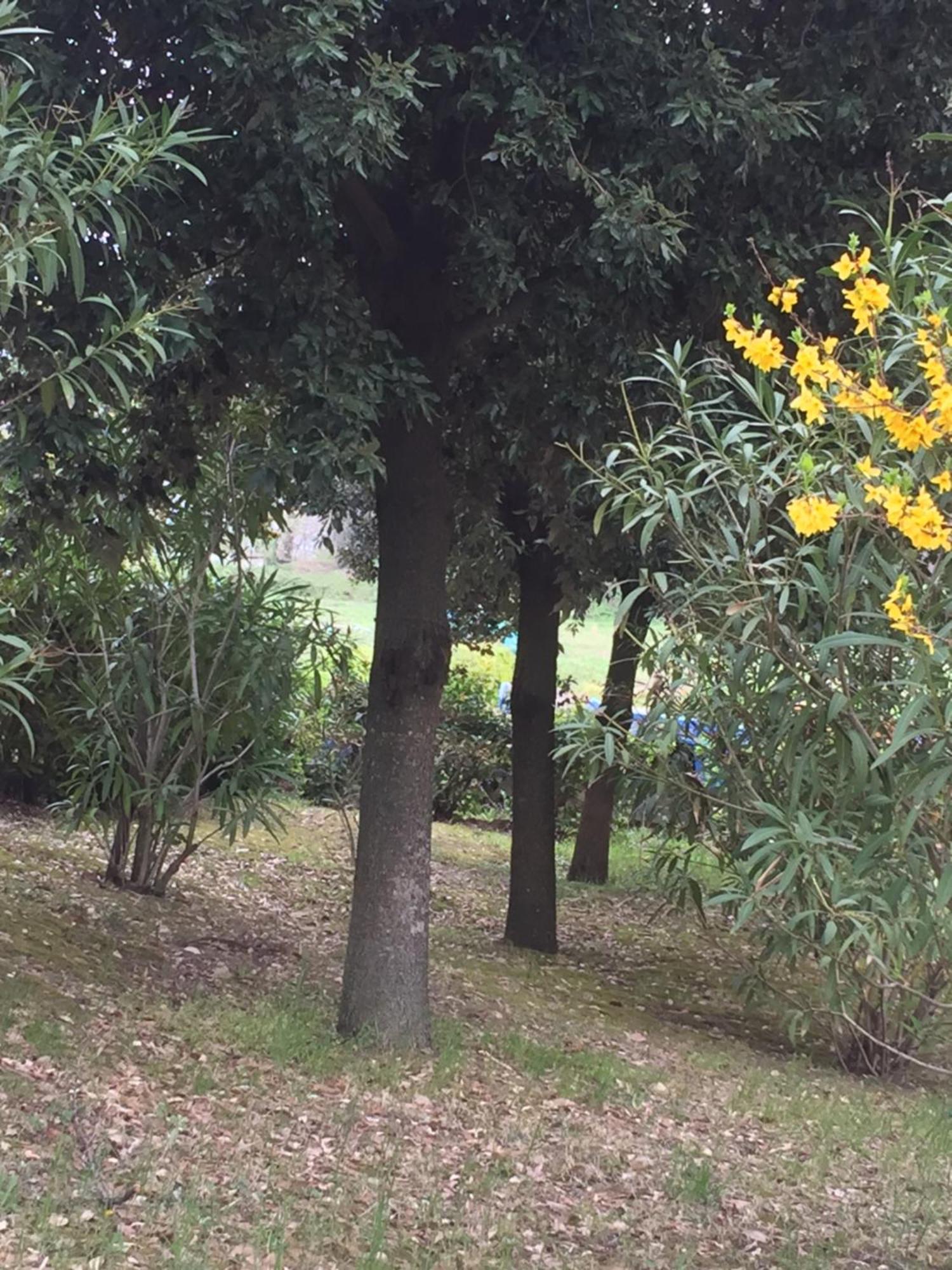 Appartamento Dell Agriturismo Pane E Olio Тоди Экстерьер фото