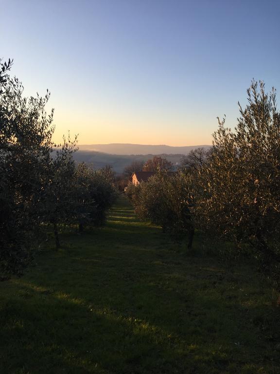 Appartamento Dell Agriturismo Pane E Olio Тоди Экстерьер фото